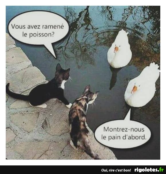 HUMOUR - Page 14 20180511