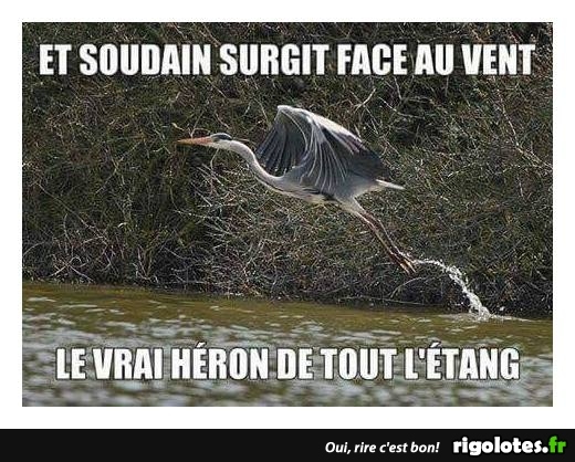 HUMOUR - Page 23 20180552