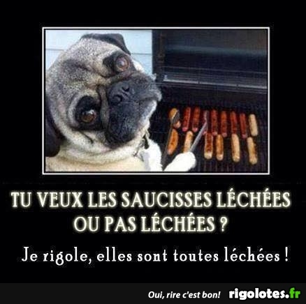 HUMOUR - Page 21 20180641