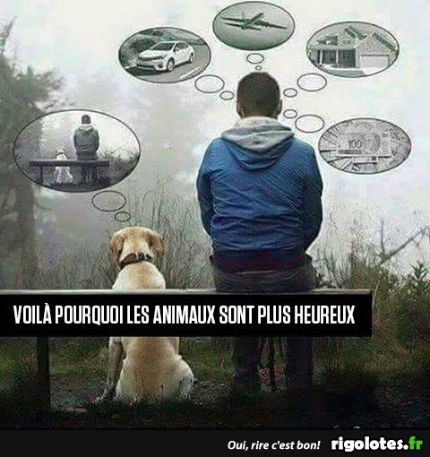 HUMOUR - Page 26 20180666