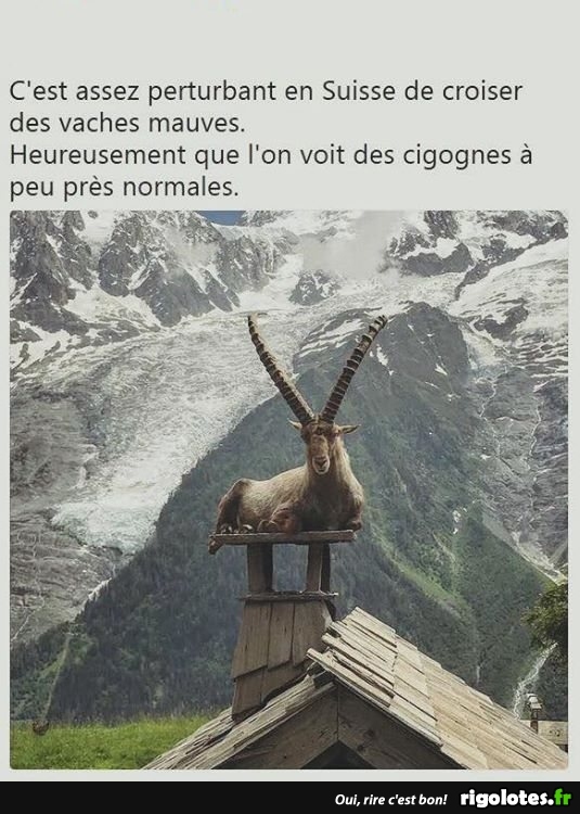 HUMOUR - Page 36 20180821