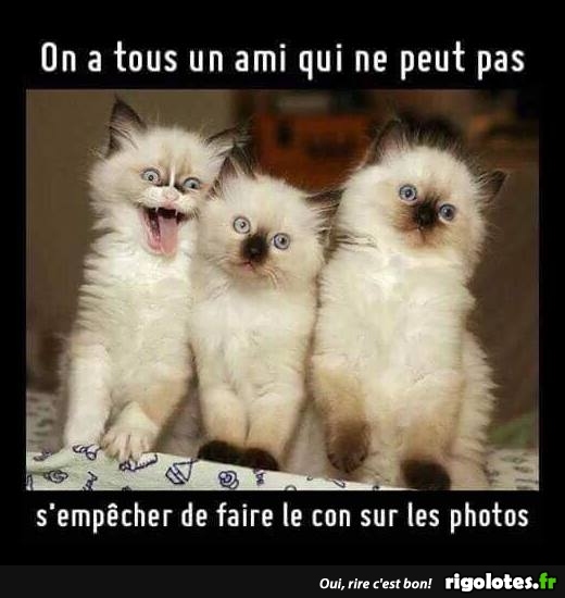 HUMOUR - Page 16 20180969