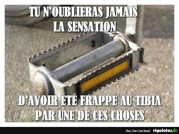 HUMOUR - Page 29 20181091