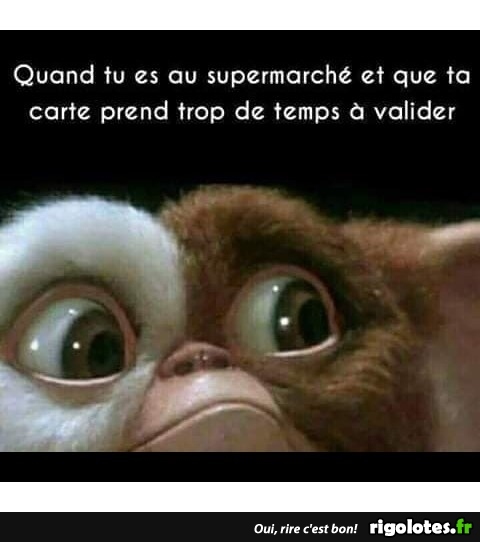 humour - Page 17 20190205