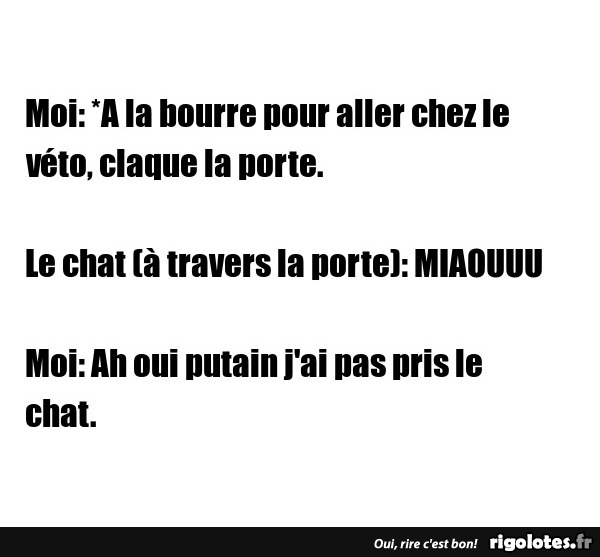 humour - Page 20 20190224