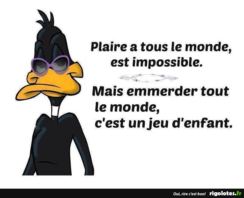 humour - Page 20 20190228