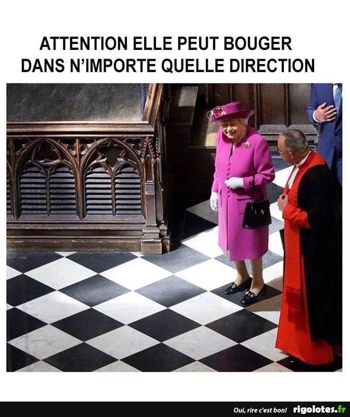 humour - Page 20 20190233