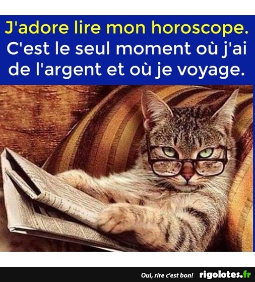 humour - Page 20 20190235