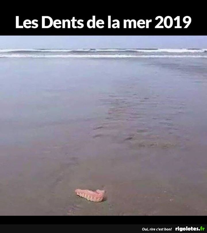 humour du jour - Page 18 20190640