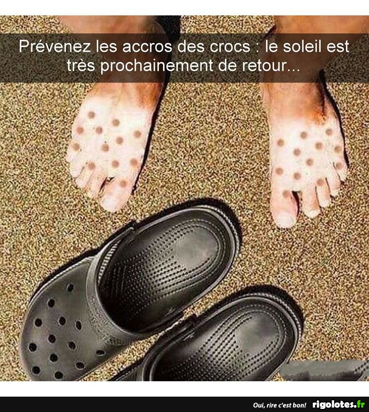 humour du jour - Page 23 20190741