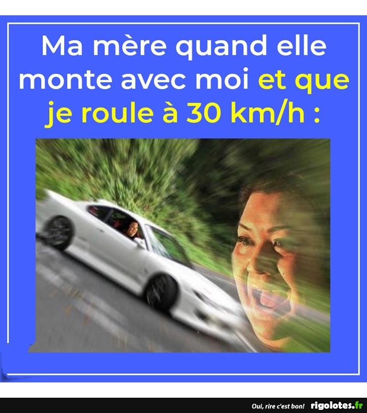 humour du jour - Page 24 20190755