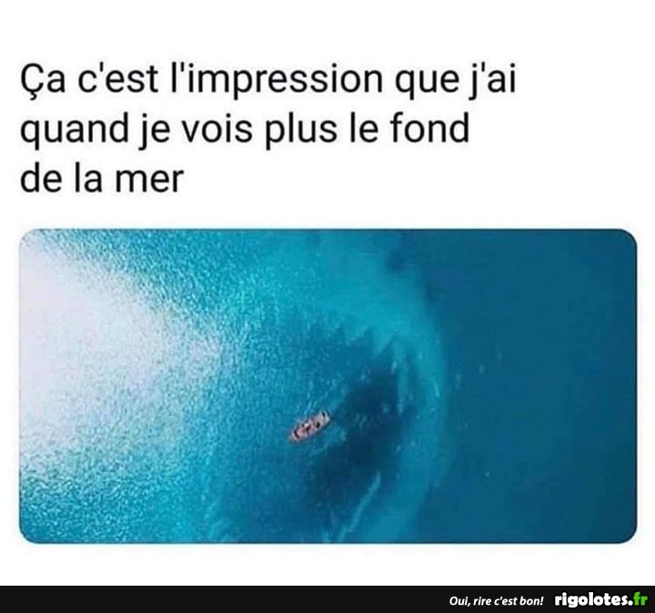 humour du jour - Page 30 20190845