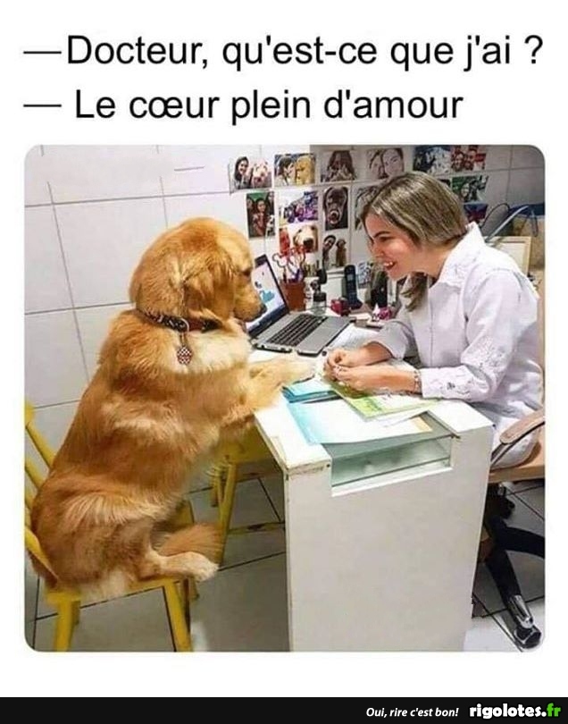 humour - Page 3 20190894