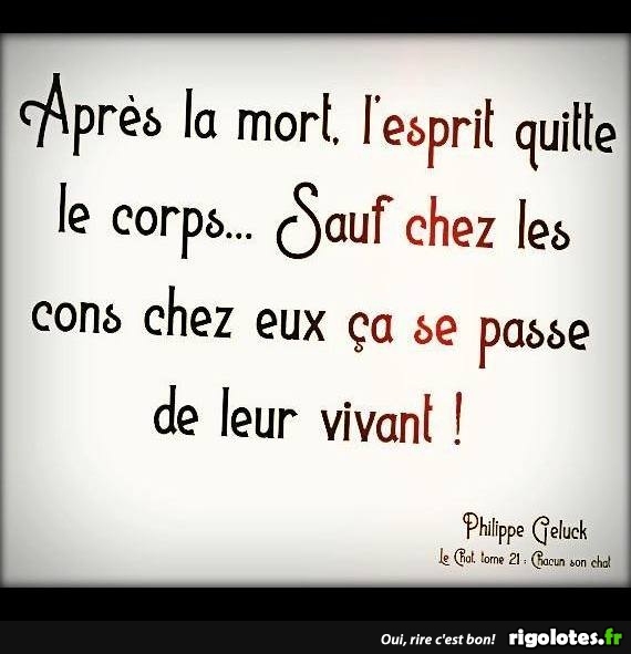 humour - Page 7 20190932