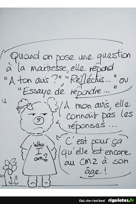 humour - Page 7 20190934