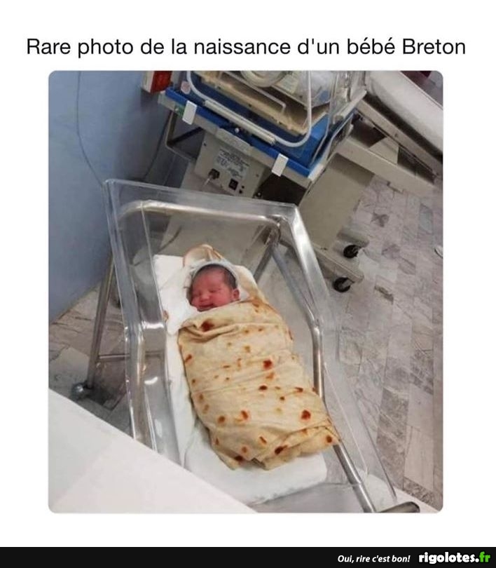 humour - Page 7 20190946