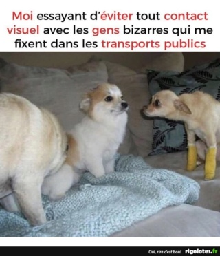 humour - Page 11 20191012