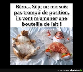 humour - Page 12 20191025