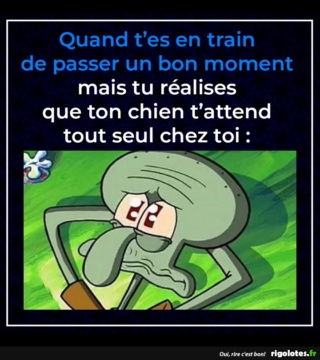 humour - Page 12 20191026