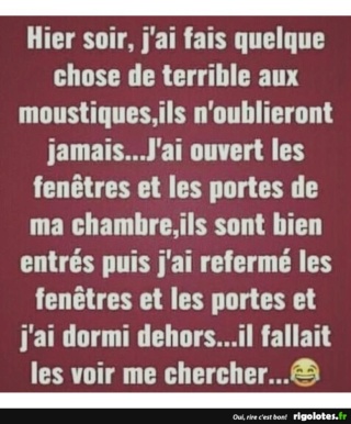 humour - Page 12 20191028