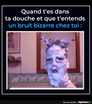 humour - Page 12 20191037