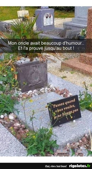 humour - Page 13 20191049