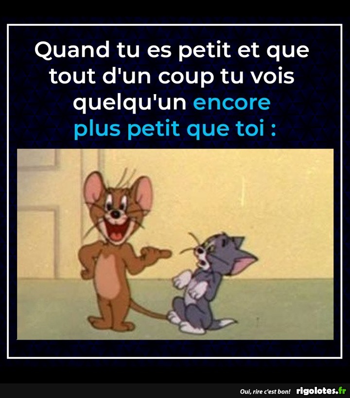 humour - Page 30 20191137