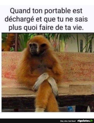 humour - Page 21 20191176