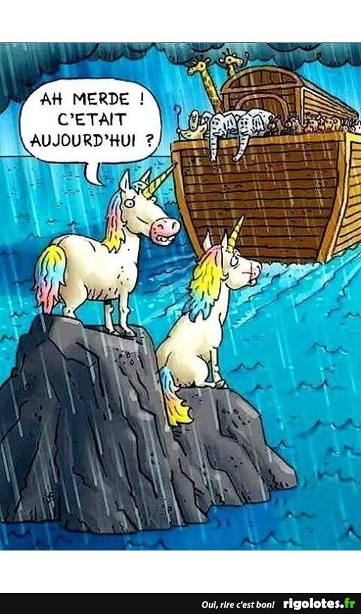 humour - Page 11 20191325
