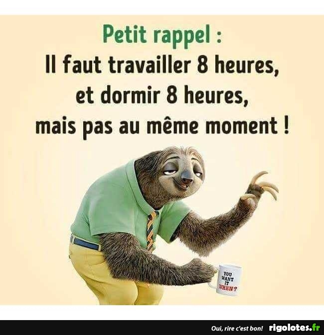 humour - Page 11 20191326