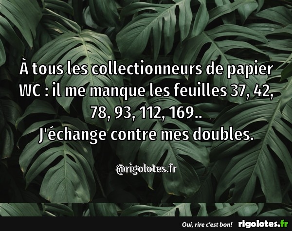 humour - Page 38 20200340