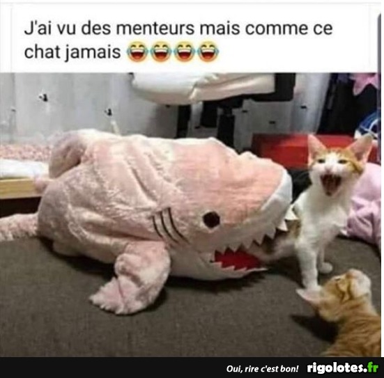 humour - Page 39 20200349