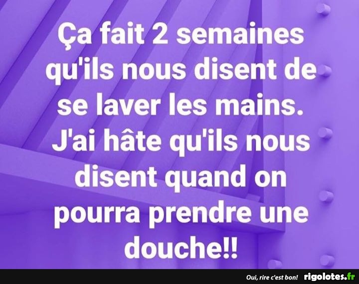 humour - Page 39 20200350