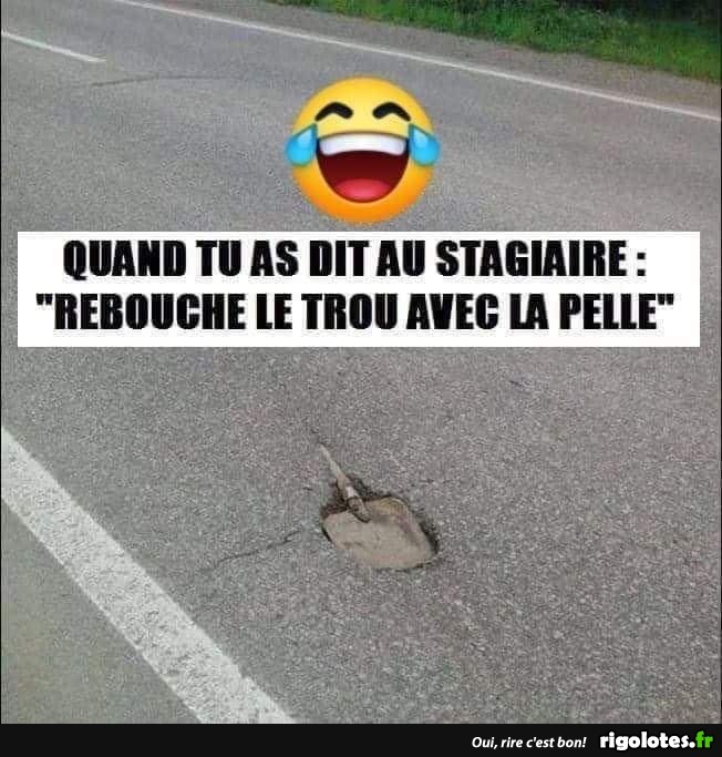 humour - Page 19 20200565
