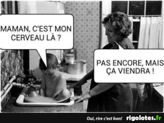 humour - Page 21 20200584