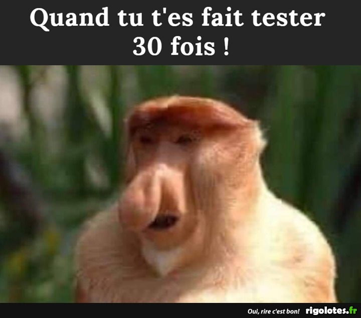 humour - Page 21 20201078