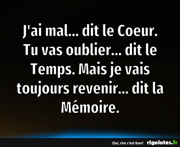 humour - Page 38 20201281