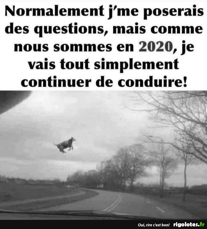 humour - Page 3 20201345