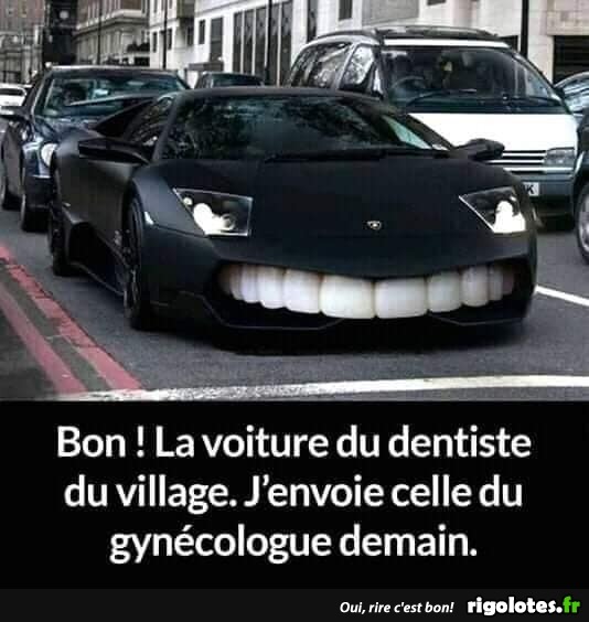 humour - Page 32 20201553