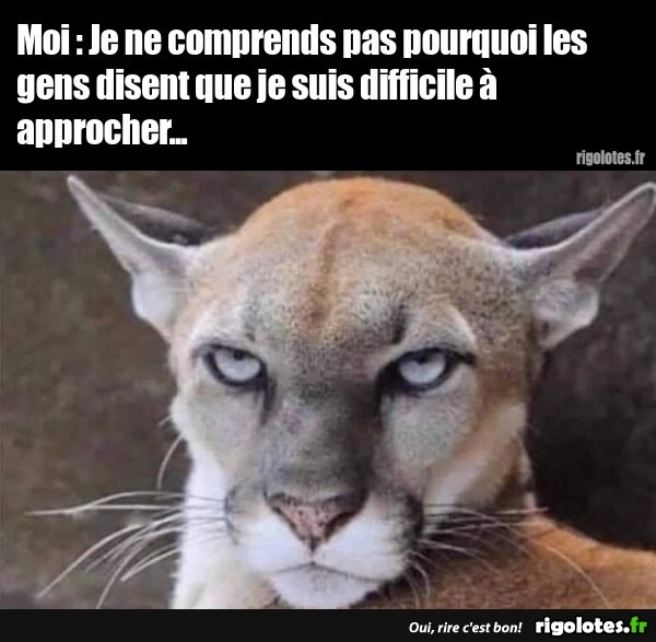 humour - Page 33 20201562