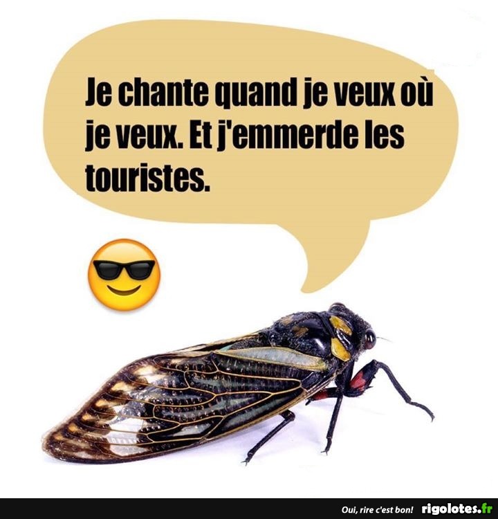 humour - Page 11 20201593