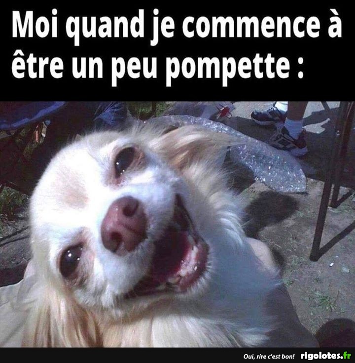 humour - Page 11 20201597