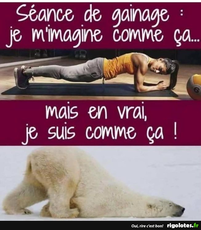 humour - Page 17 20210163