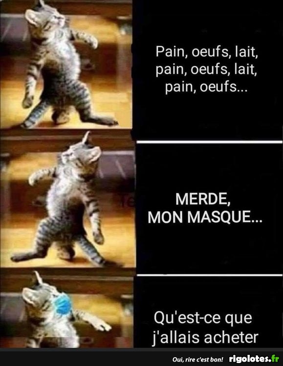 humour - Page 33 20210279