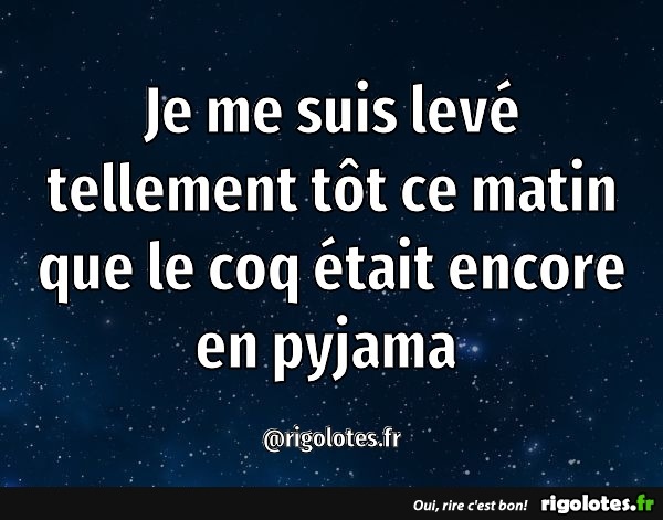 humour - Page 36 20210391