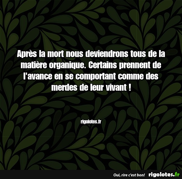 humour - Page 32 20210421