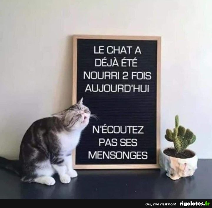 humour - Page 21 20210767