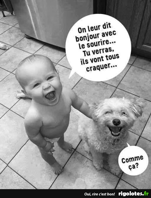humour - Page 30 20210951