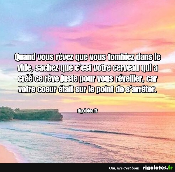 humour - Page 32 20210972
