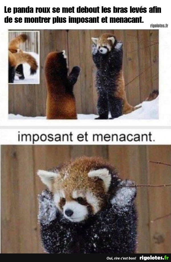 humour - Page 32 20210974